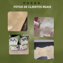 Areia Higiênica Anti Odor Biodegradável para Gatos