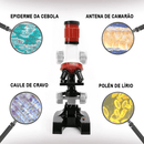 Microscópio educativo infantil