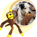 Macaco de pelúcia interativo para cães