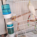 Kit Comedouro automático de sementes + Bebedouro Automático para aves