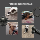 Kit Mordedor premium para cachorros – Pneu, Bola e Osso com Corda