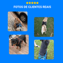 Peitoral confortável + Guia com amortecedor para cachorros fortes