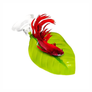 Folha de descanso para peixe