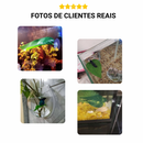 Folha de descanso para peixe