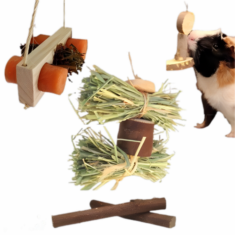 Kit Enriquecimento ambiental para Roedores